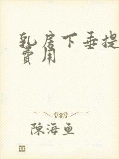 乳房下垂提手术费用