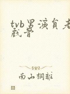 tvb男演员老戏骨