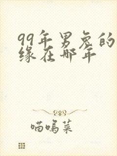 99年男兔的姻缘在哪年封面