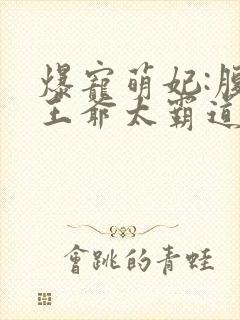 爆宠萌妃:腹黑王爷太霸道封面