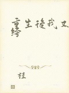 重生后我又嫁纨绔