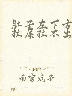 肚子左下方疼想拉屎拉不出来怎么回事