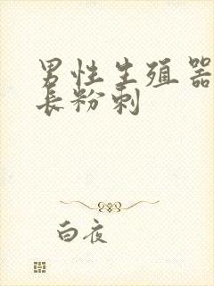 男性生殖器官上长粉刺