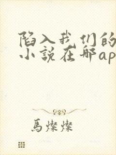 陷入我们的热恋小说在哪app上看封面