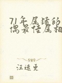 71年属猪的配偶最佳属相