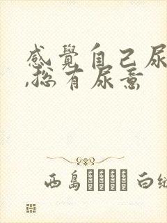 感觉自己尿不尽,总有尿意