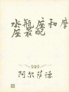 水瓶座和摩羯星座最配