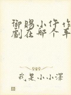 御赐小仵作电视剧在哪个平台播放封面