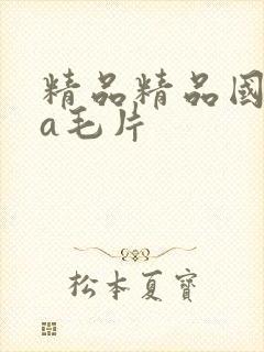 精品精品国产清a毛片