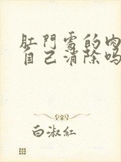 肛门处的肉球能自己消除吗