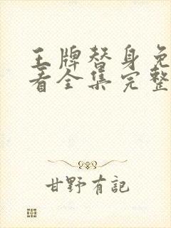 王牌替身免费观看全集完整版