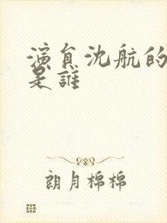 演员沈航的妻子是谁