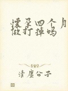 怀孕四个月适合做打掉吗封面