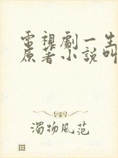 电视剧一生一世原著小说叫什么