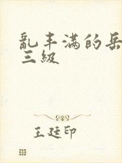 乱丰满的岳伦,三级封面