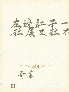 左边肚子一直疼,拉屎又拉不出