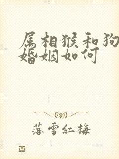 属相猴和狗相配婚姻如何