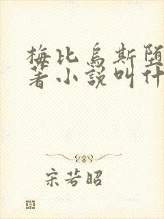 梅比乌斯堕落原著小说叫什么名字封面