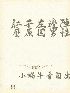 肚子左边阵痛什么原因男性