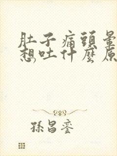 肚子痛头晕恶心想吐什么原因