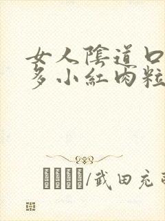 女人阴道口起很多小红肉粒封面