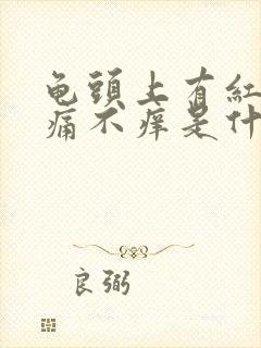 龟头上有红斑不痛不痒是什么原因