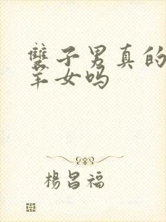 双子男真的爱白羊女吗