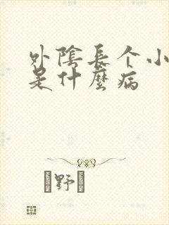 外阴长个小疙瘩是什么病