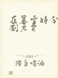 在暴雪时分电视剧免费