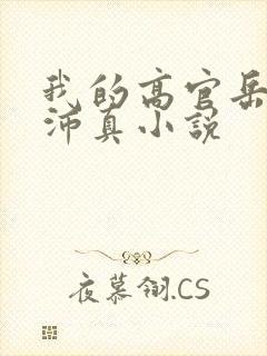 我的高官岳母苏沛真小说