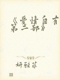 《爱情自有天意第二部》