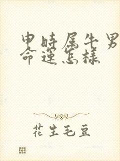 申时属牛男孩的命运怎样