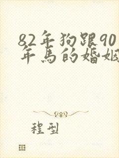 82年狗跟90年马的婚姻相配吗封面
