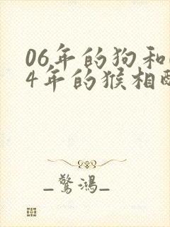 06年的狗和04年的猴相配吗
