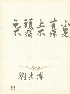 龟头上有小红点不痛不痒是怎么回事啊封面