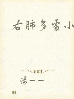 右肺多处小结节