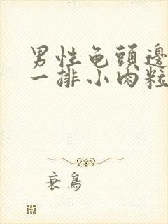 男性龟头边缘有一排小肉粒