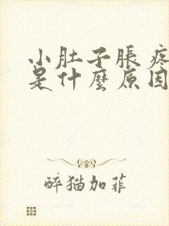 小肚子胀疼尿频是什么原因