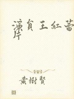 演员王红蕾的图片