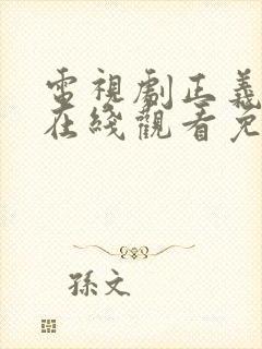 电视剧正义无敌在线观看免费全集高清