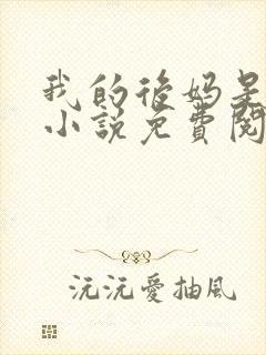 我的后妈是小姨小说免费阅读