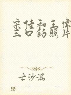 宋佳和王伟一家三口的照片