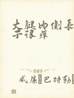 大腿内侧长红疹子很痒