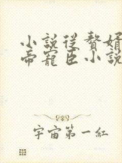 小说从赘婿到女帝宠臣小说