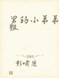 男的小弟弟有多粗封面