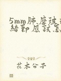 5mm肺磨玻璃结节应该怎么办