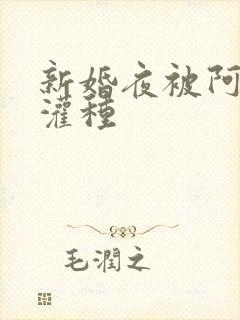 新婚夜被阿龟强灌种封面