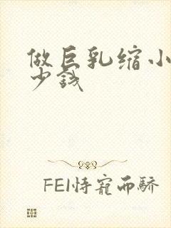 做巨乳缩小术多少钱