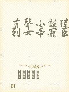 有声小说从赘婿到女帝宠臣免费听