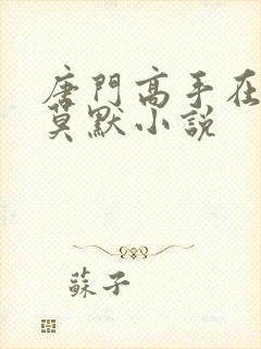 唐门高手在异世莫默小说